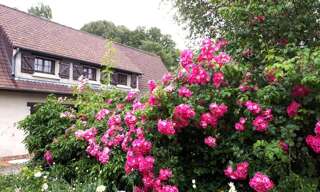 Maison 7 Pièces 216 m² à vendre à Canlers (62310)