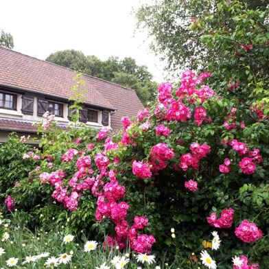 Maison 7 pièces 198930 €