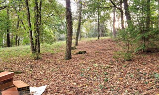 Photo N° 4