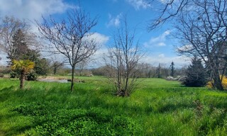 Photo N° 4