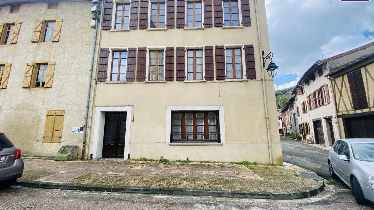 maison 7 pièces 225 m2 à vendre à Le Mas-d'Azil (09290)