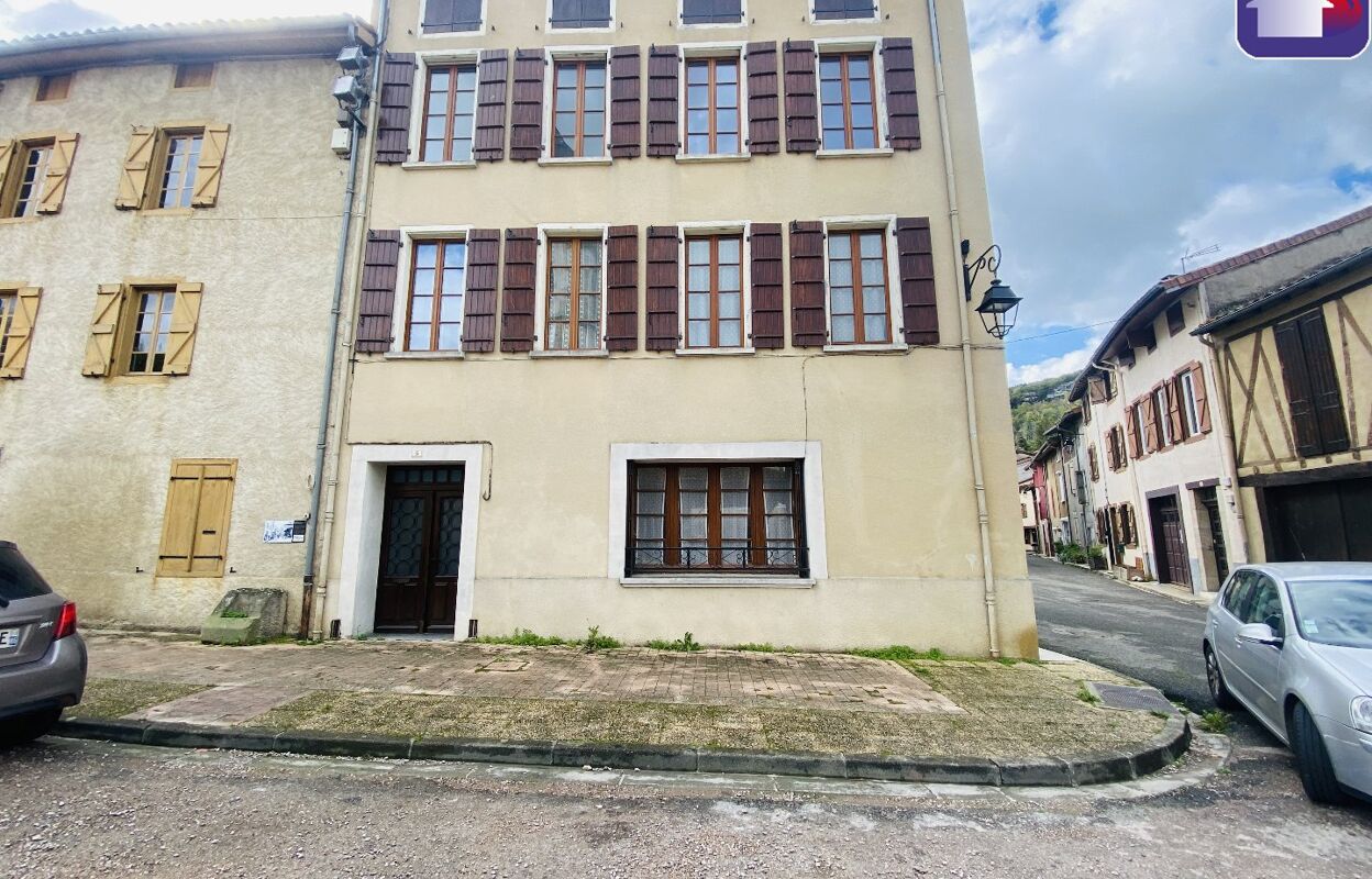 maison 7 pièces 225 m2 à vendre à Le Mas-d'Azil (09290)