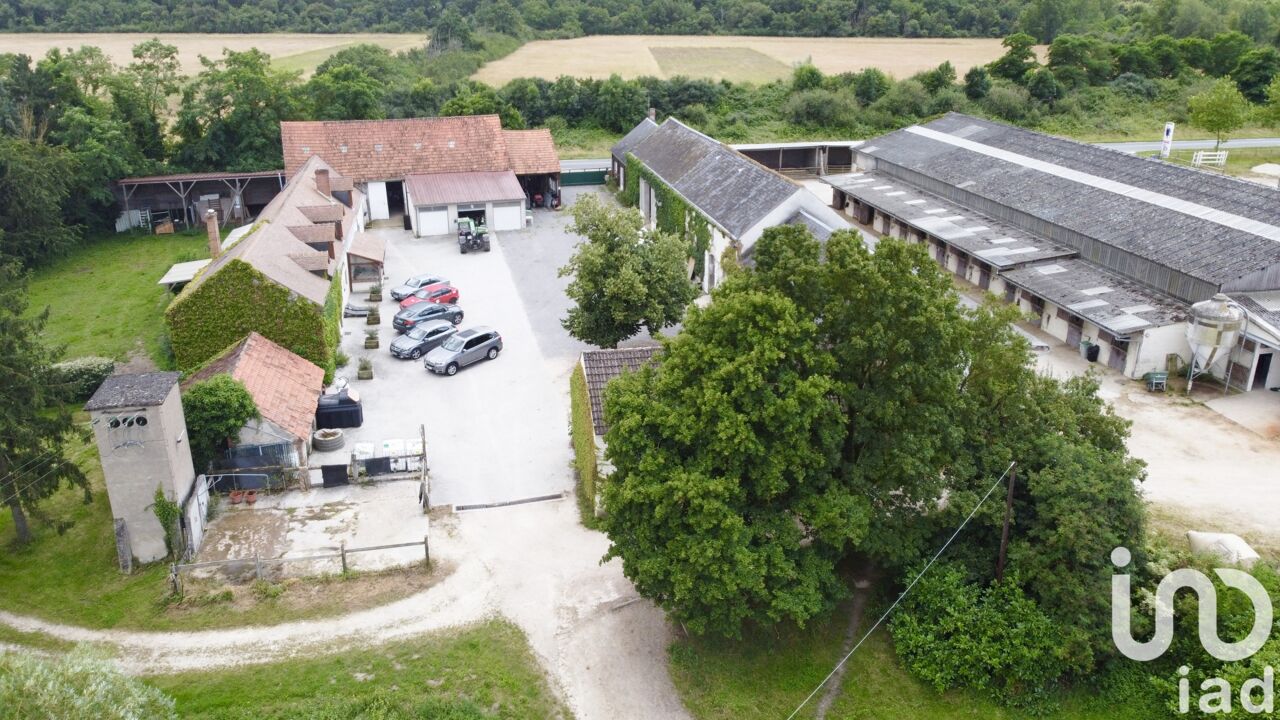 maison 12 pièces 375 m2 à vendre à Sandillon (45640)