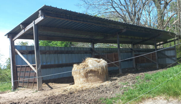 Propriété 12 pièces  à vendre Saint-Palais 64120