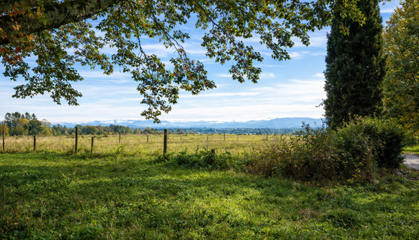 Propri&eacute;t&eacute; 12 pièces  à vendre Saint-Palais 64120