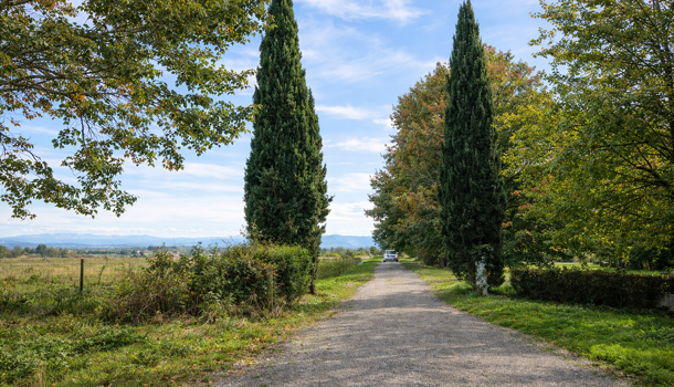 Propri&eacute;t&eacute; 12 pièces  à vendre Saint-Palais 64120