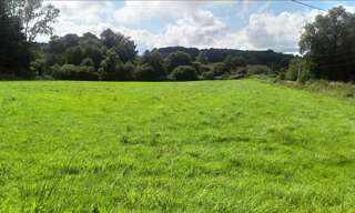 Terrain  9774 m² à vendre à La Souterraine (23300)