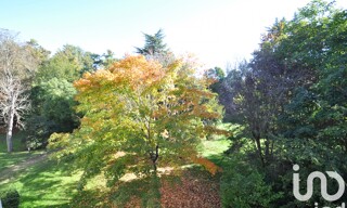 Photo N° 6