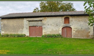 Photo N° 6