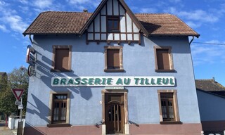 Commerce  250 m² à vendre à Artolsheim (67390)