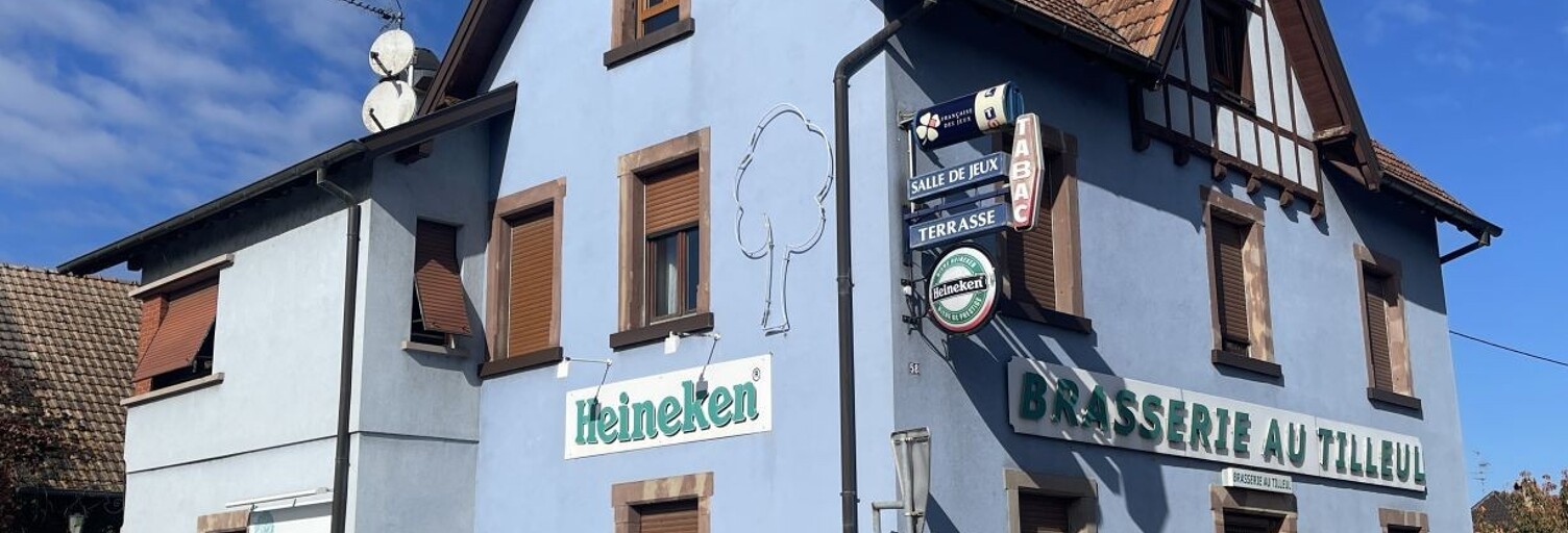 Commerce  250 m² à vendre à Artolsheim (67390)