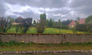 Photo N° 7