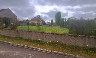 Photo N° 8