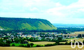 Photo N° 6