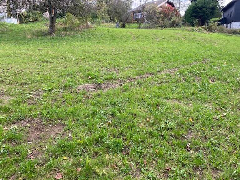 Terrain de 1902 m² divisible  à vendre à LA ROCHE SUR FORON — photo 1