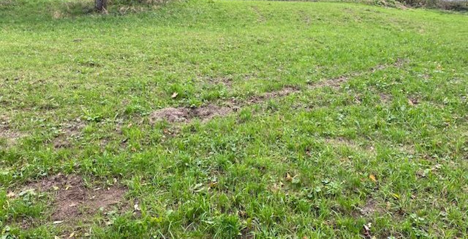 Terrain de 1902 m² divisible  à vendre à LA ROCHE SUR FORON — photo 1
