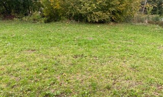 Photo N° 4