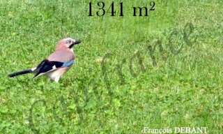 Terrain  1341 m² à vendre à Bétheniville (51490)