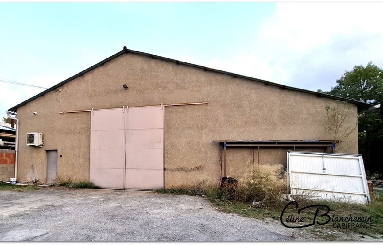 commerce 5 pièces 400 m2 à vendre à Limoux (11300)