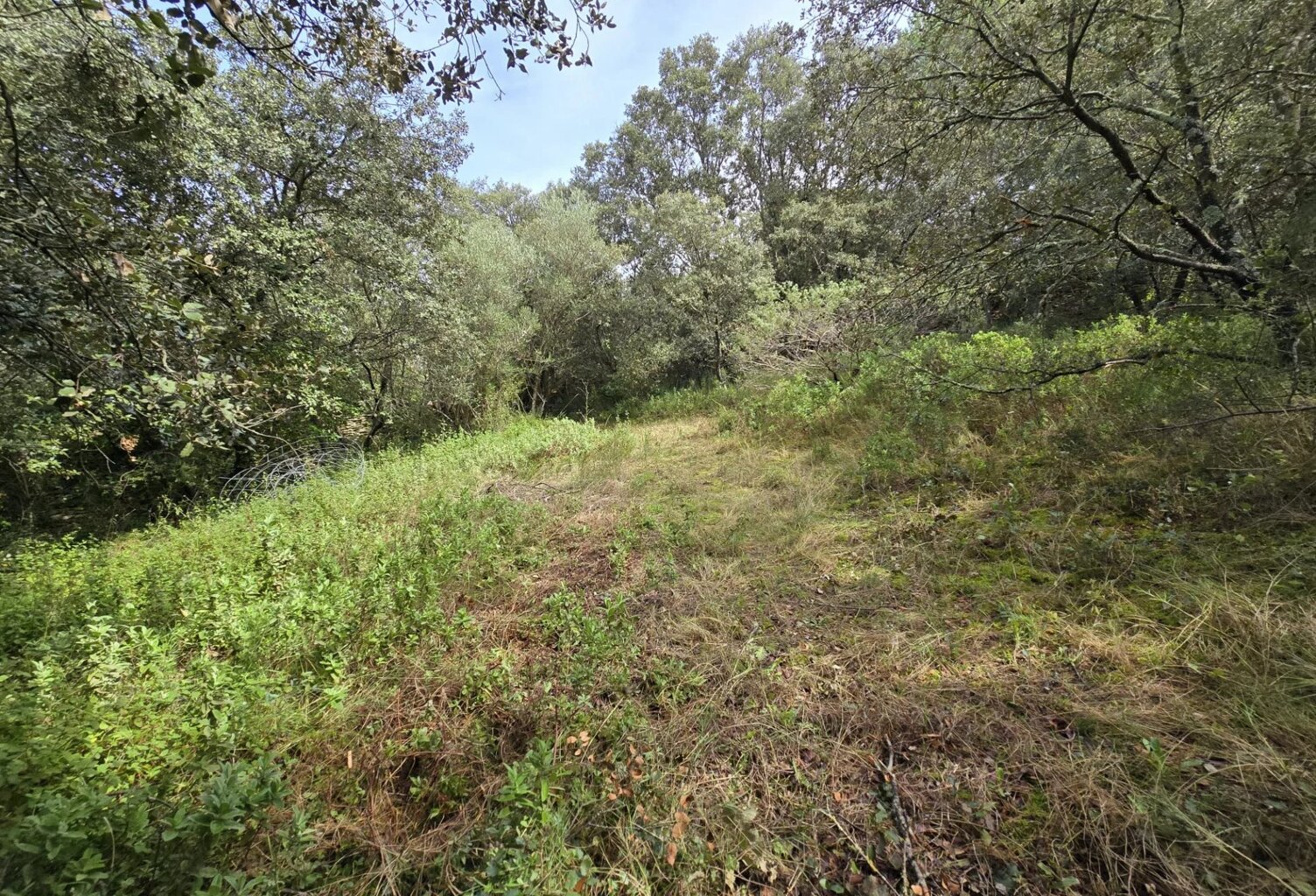 Superbe terrain boisé de 2 630 m² à proximité d'Uzès — photo 1