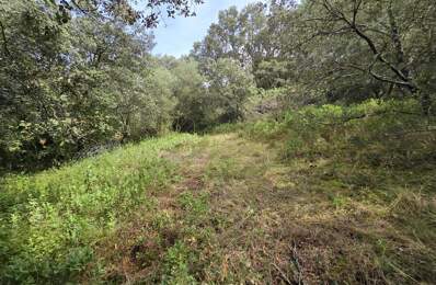 Superbe terrain boisé de 2 630 m² à proximité d'Uzès — photo du bien