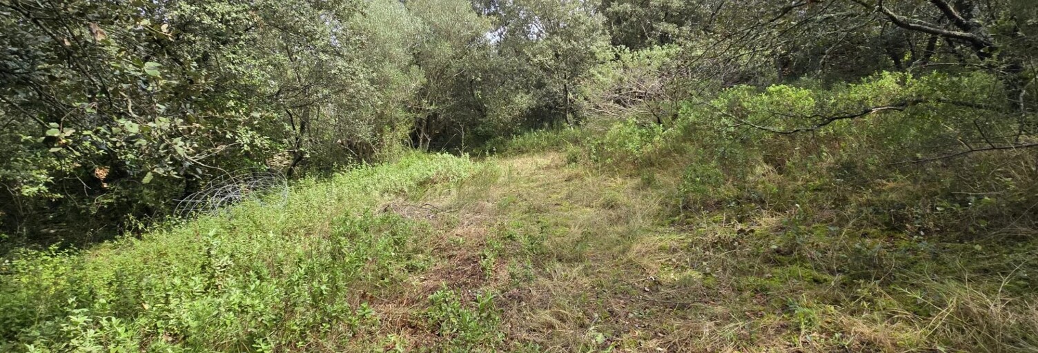 Terrain  2630 m² à vendre à Uzès (30700)