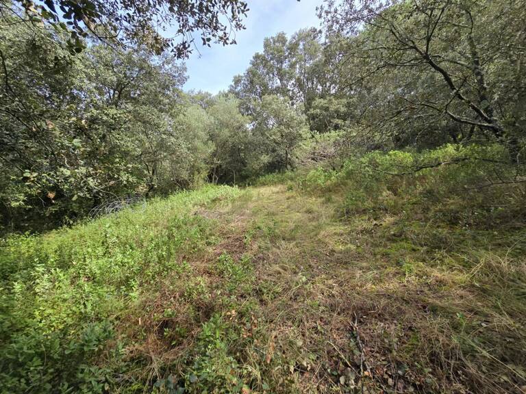 Superbe terrain boisé de 2 630 m² à proximité d'Uzès — photo 1