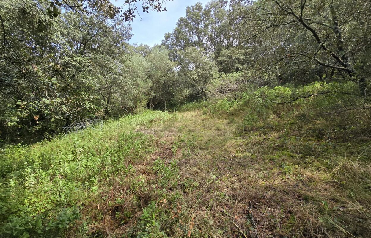 terrain  pièces 2630 m2 à vendre à Uzès (30700)