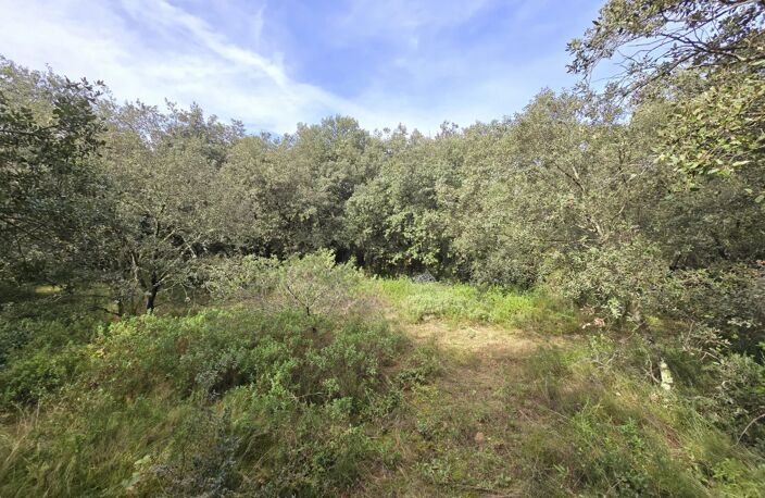 Superbe terrain boisé de 2 630 m² à proximité d'Uzès — photo 2