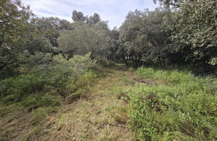 Superbe terrain boisé de 2 630 m² à proximité d'Uzès — photo 3