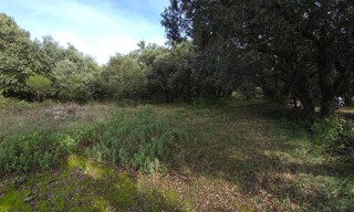 Photo N° 4