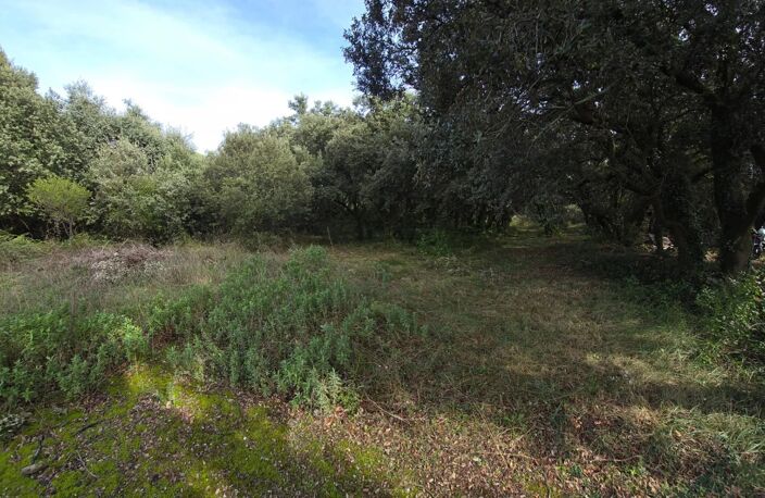 Superbe terrain boisé de 2 630 m² à proximité d'Uzès — photo 4