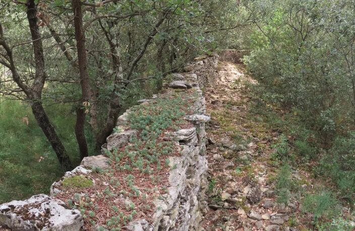 Superbe terrain boisé de 2 630 m² à proximité d'Uzès — photo 5