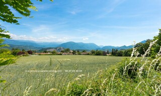 Photo N° 7
