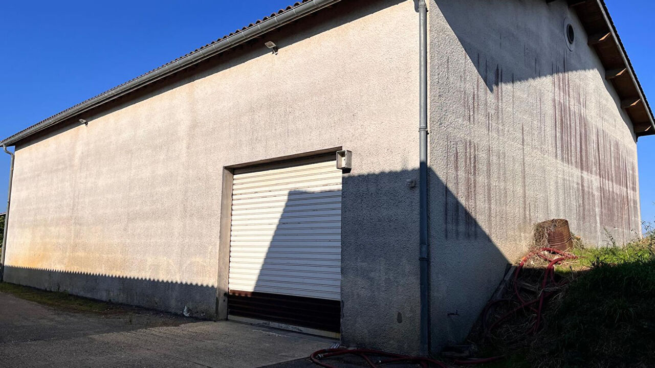 commerce  pièces 241 m2 à vendre à Pugnac (33710)