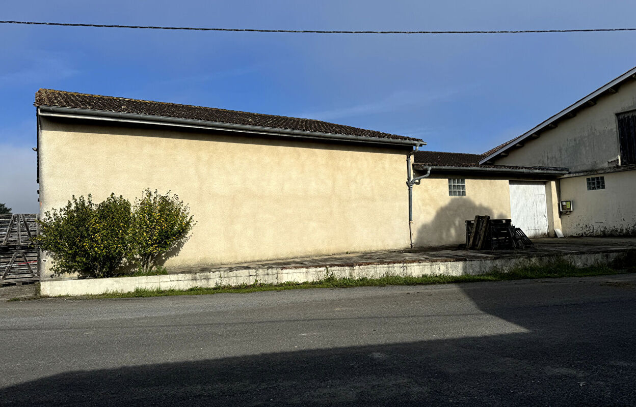 commerce  pièces 366 m2 à vendre à Pugnac (33710)