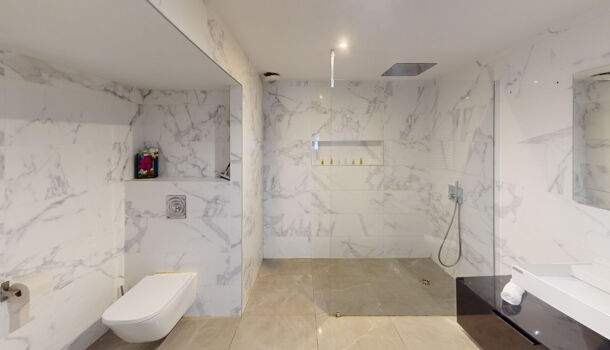 Appartement 4 pièces  à vendre Grenoble 38100