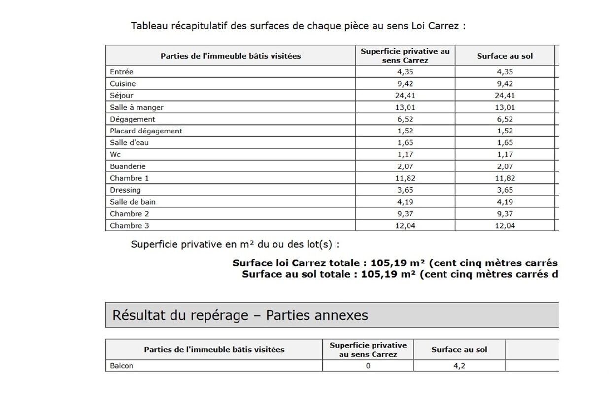 appartement 5 pièces 110 m2 à vendre à Saint-Maurice (94410)