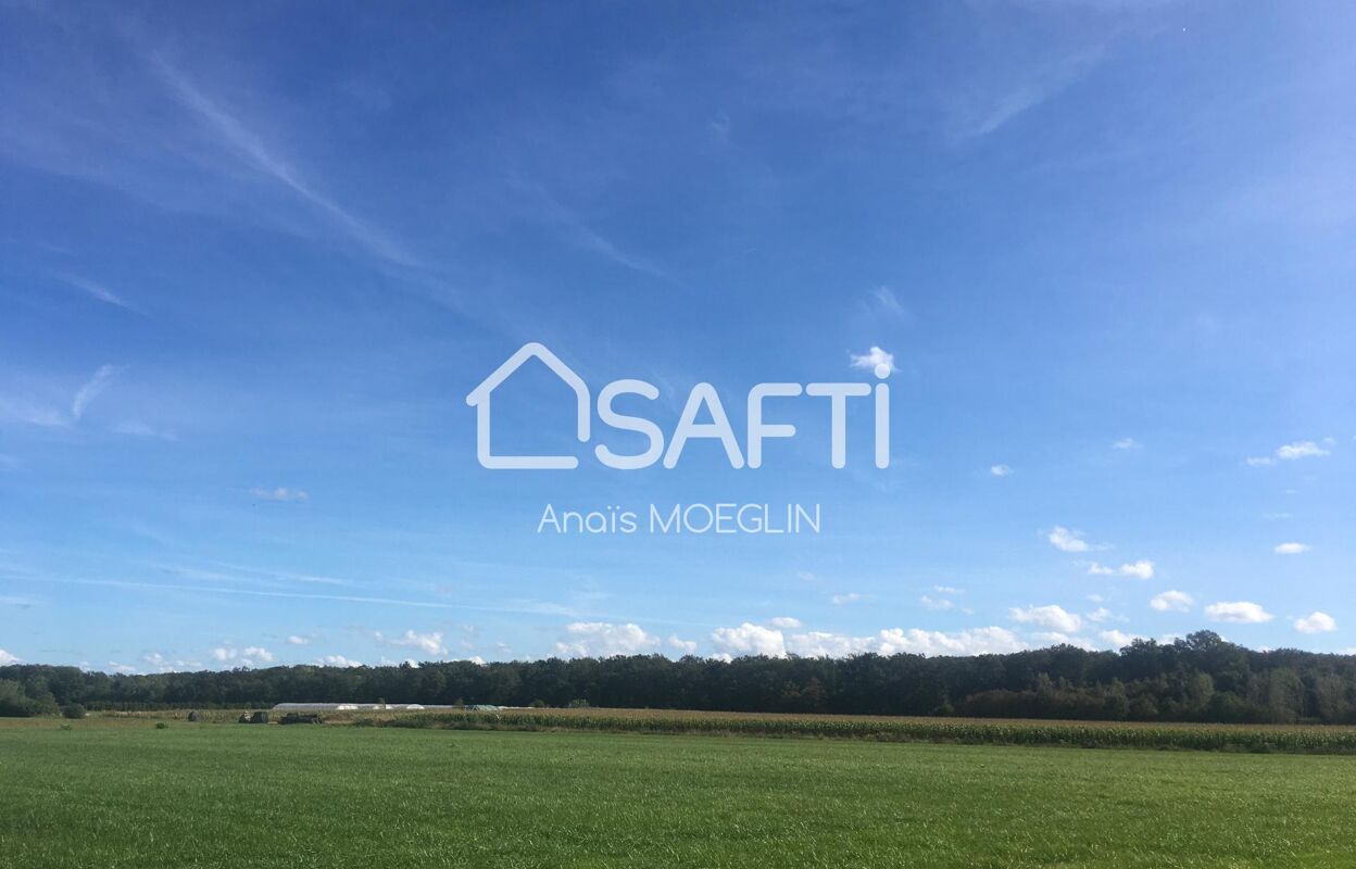 terrain  pièces 1080 m2 à vendre à Sentheim (68780)