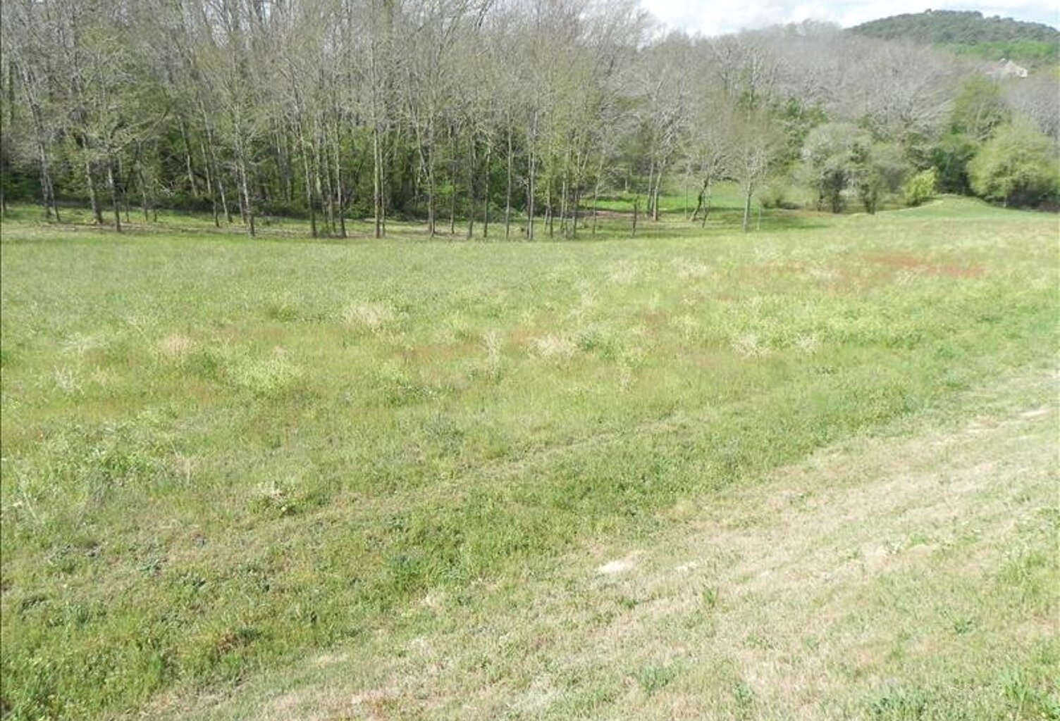 Vente terrain  4360 m² Gourdon (46300) — photo 1
