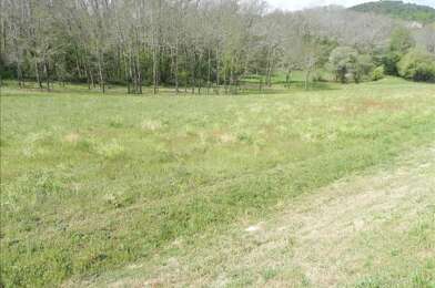 Terrain  56000 €