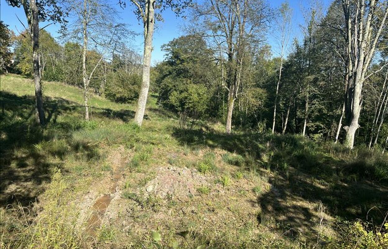 terrain  pièces 1600 m2 à vendre à Gan (64290)