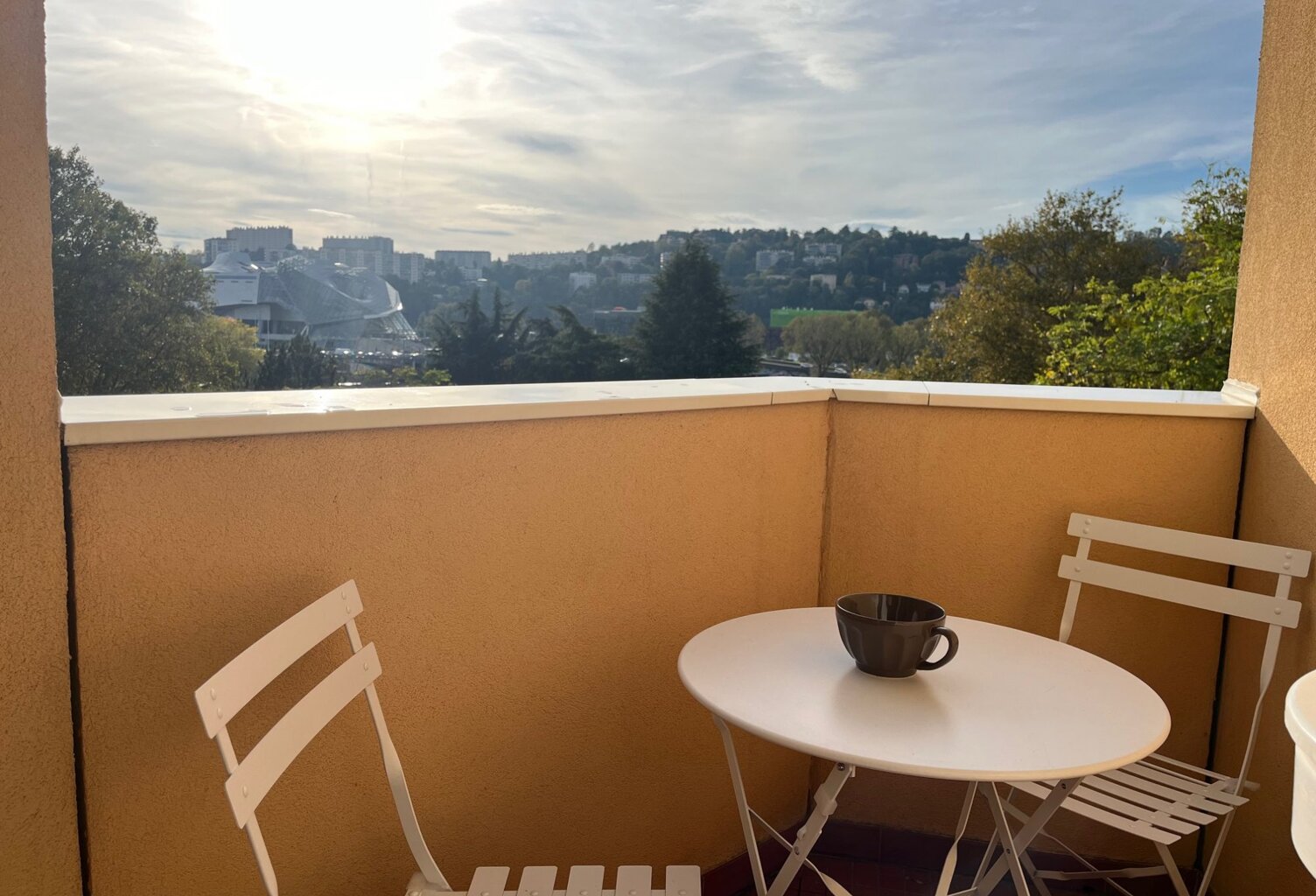 Appartement étage élevé vue rhône — photo 1