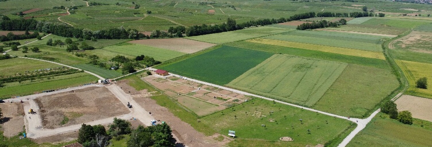 Terrain  367 m² à vendre à Bergholtz (68500)