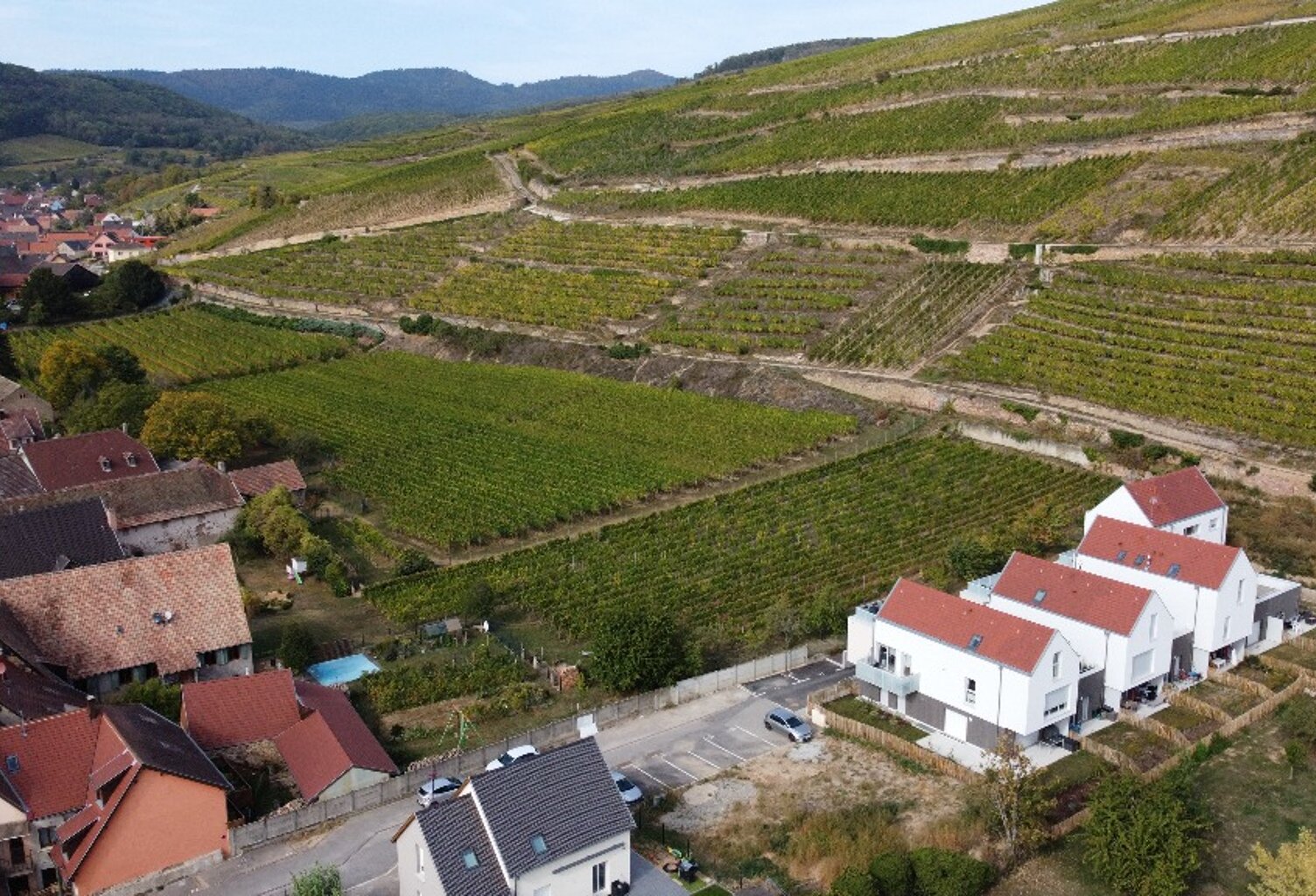 Programme Serres à SOULTZMATT — photo 1