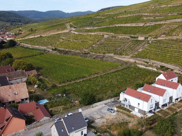 Programme Serres à SOULTZMATT — photo 1