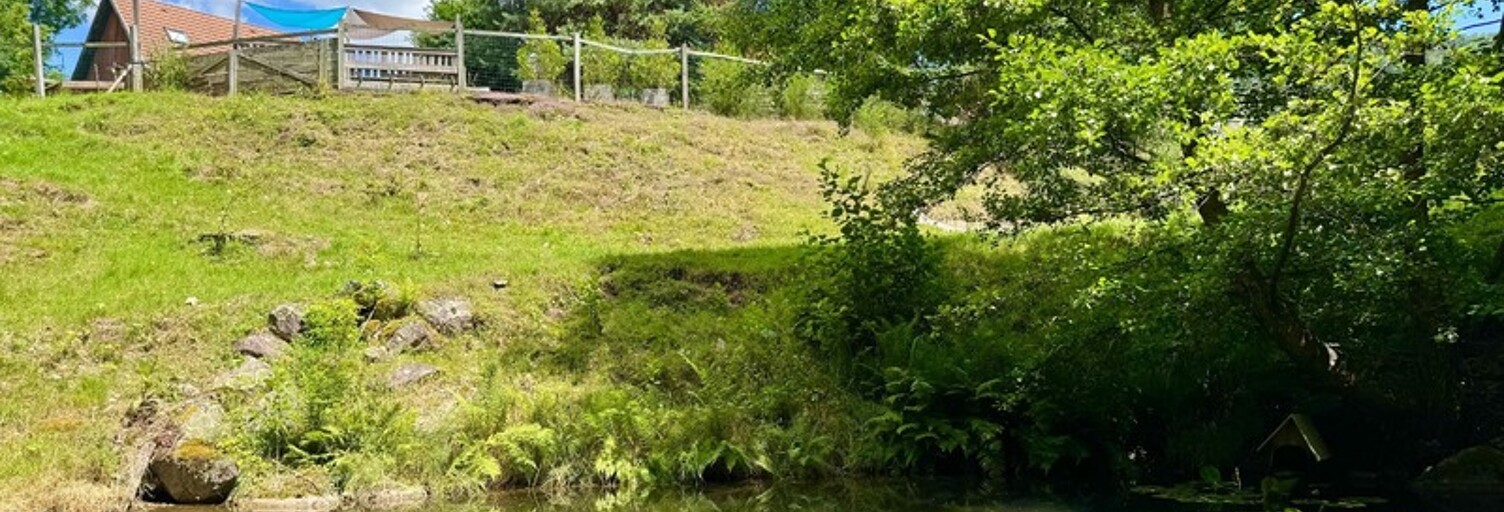 Maison 14 Pièces 156 m² à vendre à Saint-Maurice-sur-Moselle (88560)