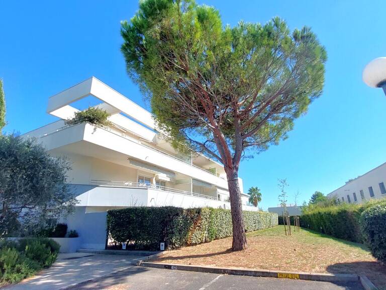 Appartement + Parking + Parking — photo 1