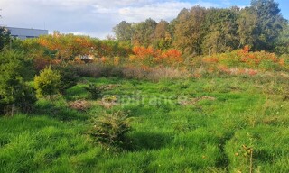 Terrain  1122 m² à vendre à Luxeuil-les-Bains (70300)