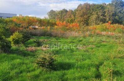 terrain  pièces 1122 m2 à vendre à Luxeuil-les-Bains (70300)